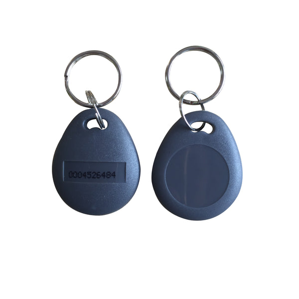 125KHZ Token EM4100 Tag RFID Keyfobs Proximity ID Key Chain -100pcs