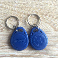 RFID Tag Proximity EM4100 125Khz Key Access Control Card Fobs (pack of 100)