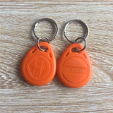 RFID Tag Proximity EM4100 125Khz Key Access Control Card Fobs (pack of 100)